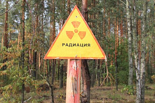 Украинские власти задумали вернуть жизнь в Чернобыль: там будет сельское хозяйство
