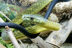 ebffec26f8b1fa84eceae96f9db9b2a2.jpg